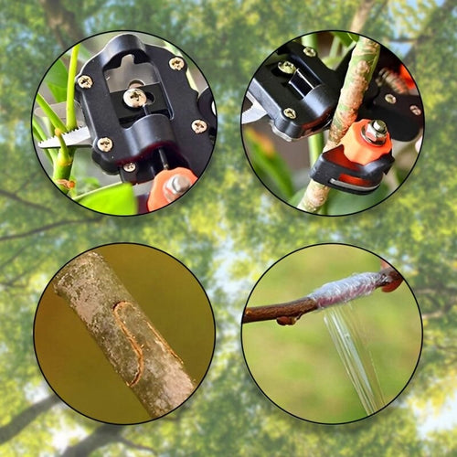 Ent- en snoeigereedschap – Ease™