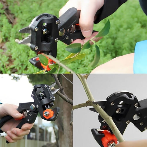 Ent- en snoeigereedschap – Ease™