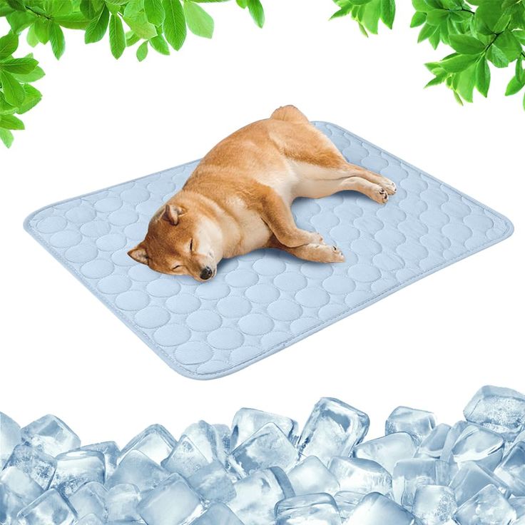 Koelmat – PetCool Pad 100x70 cm