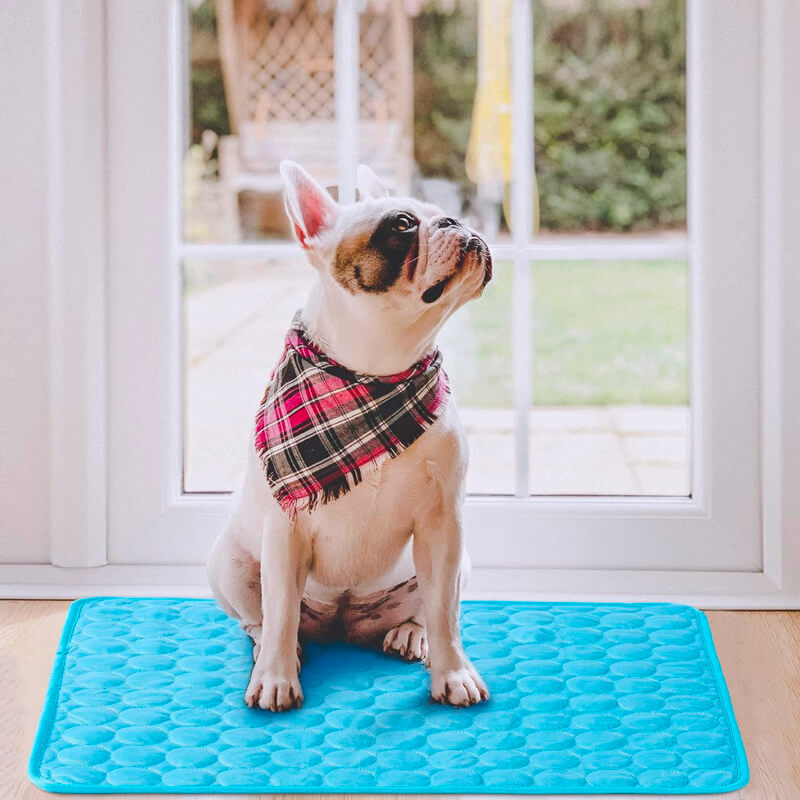 Koelmat – PetCool Pad 100x70 cm