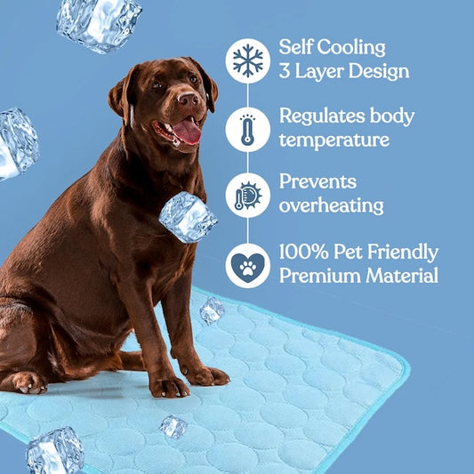 Koelmat – PetCool Pad 100x70 cm